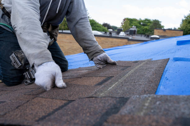 Roof Waterproofing Services in Hialeah Gardens, FL